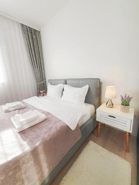 Skyblue Central Apartment - 2 Bedrooms & Free Parking Oradea Eksteriør billede